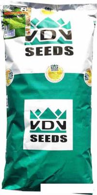 Семена VDV Seeds Sport-кортт 15 кг Семена VDV Seeds Sport-кортт 15 кг