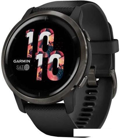 Умные часы Garmin Venu 2 (сланцевая нержавеющая сталь/черный)