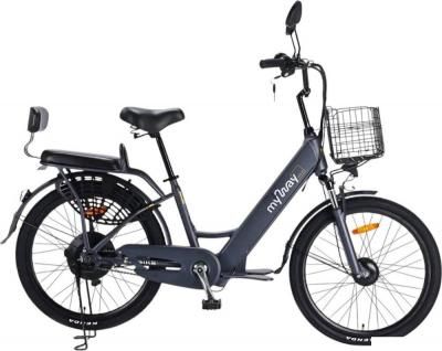 Электровелосипед MyWay Truck 500 24 (графит) Электровелосипед MyWay Truck 500 24 (графит)