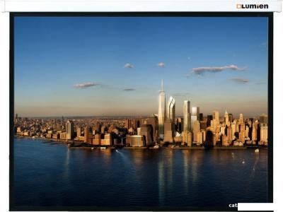 Проекционный экран Lumien Master Picture 191x300 (LMP-100136)