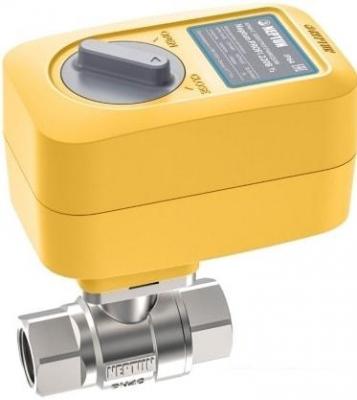 Электрический вентиль Neptun Profi 220 В 1/2