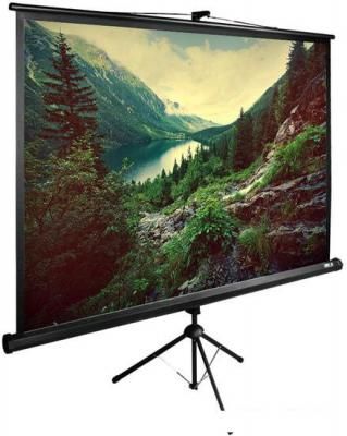 Проекционные экраны CACTUS TriExpert 220x220 CS-PSTE-220X220-BK Проекционные экраны CACTUS TriExpert 220x220 CS-PSTE-220X220-BK