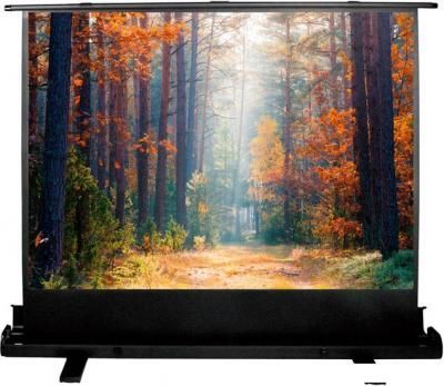 Проекционные экраны CACTUS FloorExpert 68x120 CS-PSFLE-120X68 Проекционные экраны CACTUS FloorExpert 68x120 CS-PSFLE-120X68