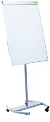 Флипчарт Yesли Standart YFMS710 70x100 см