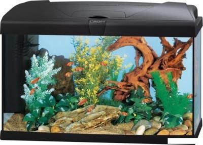 Аквариумы Ferplast Capri 50 Led 60 л (черный) Аквариумы Ferplast Capri 50 Led 60 л (черный)